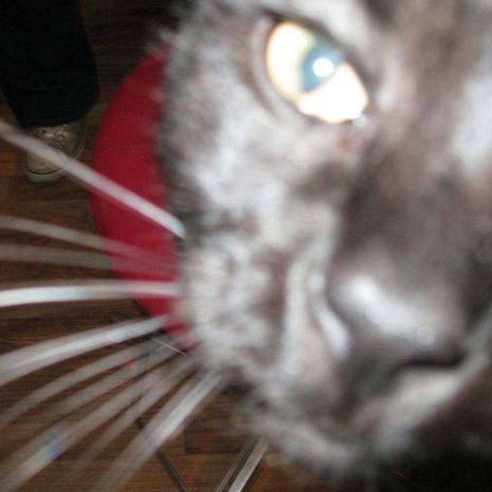 Meet your Posher, Corey